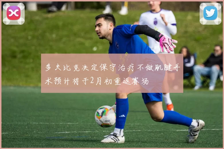 多夫比克决定保守治疗不做肌腱手术预计将于2月初重返赛场